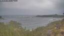 ./images/calvert/foggy-cove/20260509/foggy-cove20260509_194001M.jpg