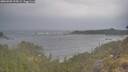 ./images/calvert/foggy-cove/20260509/foggy-cove20260509_194501M.jpg