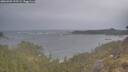 ./images/calvert/foggy-cove/20260509/foggy-cove20260509_195502M.jpg