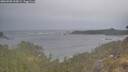 ./images/calvert/foggy-cove/20260509/foggy-cove20260509_200001M.jpg