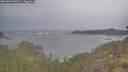 ./images/calvert/foggy-cove/20260509/foggy-cove20260509_200501M.jpg