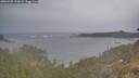 ./images/calvert/foggy-cove/20260509/foggy-cove20260509_201001M.jpg