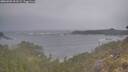 ./images/calvert/foggy-cove/20260509/foggy-cove20260509_201501M.jpg