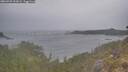 ./images/calvert/foggy-cove/20260509/foggy-cove20260509_202001M.jpg
