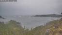 ./images/calvert/foggy-cove/20260509/foggy-cove20260509_202502M.jpg
