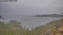 ./images/calvert/foggy-cove/20260509/foggy-cove20260509_204001M.jpg