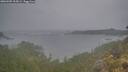 ./images/calvert/foggy-cove/20260509/foggy-cove20260509_205001M.jpg
