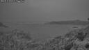 ./images/calvert/foggy-cove/20260510/foggy-cove20260510_052501M.jpg