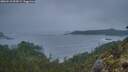 ./images/calvert/foggy-cove/20260510/foggy-cove20260510_054501M.jpg