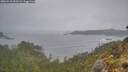 ./images/calvert/foggy-cove/20260510/foggy-cove20260510_061501M.jpg