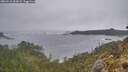 ./images/calvert/foggy-cove/20260510/foggy-cove20260510_062002M.jpg