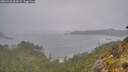 ./images/calvert/foggy-cove/20260510/foggy-cove20260510_063002M.jpg