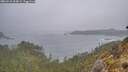 ./images/calvert/foggy-cove/20260510/foggy-cove20260510_064001M.jpg