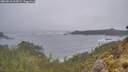 ./images/calvert/foggy-cove/20260510/foggy-cove20260510_064502M.jpg