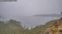 ./images/calvert/foggy-cove/20260510/foggy-cove20260510_065501M.jpg