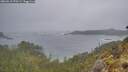 ./images/calvert/foggy-cove/20260510/foggy-cove20260510_070501M.jpg