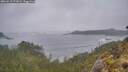 ./images/calvert/foggy-cove/20260510/foggy-cove20260510_071001M.jpg