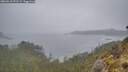 ./images/calvert/foggy-cove/20260510/foggy-cove20260510_071501M.jpg