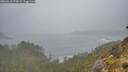 ./images/calvert/foggy-cove/20260510/foggy-cove20260510_072002M.jpg