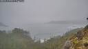 ./images/calvert/foggy-cove/20260510/foggy-cove20260510_072501M.jpg