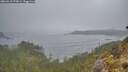 ./images/calvert/foggy-cove/20260510/foggy-cove20260510_073001M.jpg