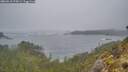 ./images/calvert/foggy-cove/20260510/foggy-cove20260510_075001M.jpg