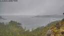 ./images/calvert/foggy-cove/20260510/foggy-cove20260510_080001M.jpg