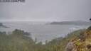 ./images/calvert/foggy-cove/20260510/foggy-cove20260510_080502M.jpg
