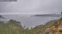 ./images/calvert/foggy-cove/20260510/foggy-cove20260510_081001M.jpg