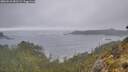 ./images/calvert/foggy-cove/20260510/foggy-cove20260510_081501M.jpg