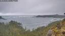 ./images/calvert/foggy-cove/20260510/foggy-cove20260510_082001M.jpg