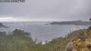 ./images/calvert/foggy-cove/20260510/foggy-cove20260510_082501M.jpg