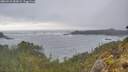 ./images/calvert/foggy-cove/20260510/foggy-cove20260510_083002M.jpg