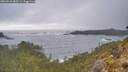 ./images/calvert/foggy-cove/20260510/foggy-cove20260510_083501M.jpg