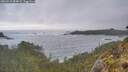 ./images/calvert/foggy-cove/20260510/foggy-cove20260510_084001M.jpg