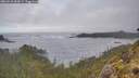 ./images/calvert/foggy-cove/20260510/foggy-cove20260510_084501M.jpg