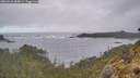 ./images/calvert/foggy-cove/20260510/foggy-cove20260510_085001M.jpg