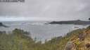 ./images/calvert/foggy-cove/20260510/foggy-cove20260510_085501M.jpg