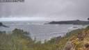 ./images/calvert/foggy-cove/20260510/foggy-cove20260510_090002M.jpg