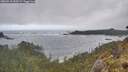 ./images/calvert/foggy-cove/20260510/foggy-cove20260510_090501M.jpg