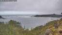 ./images/calvert/foggy-cove/20260510/foggy-cove20260510_091001M.jpg