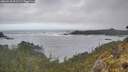 ./images/calvert/foggy-cove/20260510/foggy-cove20260510_091501M.jpg