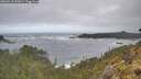 ./images/calvert/foggy-cove/20260510/foggy-cove20260510_092001M.jpg