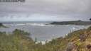 ./images/calvert/foggy-cove/20260510/foggy-cove20260510_092501M.jpg
