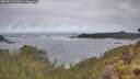 ./images/calvert/foggy-cove/20260510/foggy-cove20260510_093001M.jpg