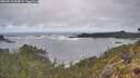 ./images/calvert/foggy-cove/20260510/foggy-cove20260510_094001M.jpg