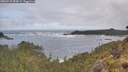 ./images/calvert/foggy-cove/20260510/foggy-cove20260510_094501M.jpg