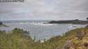 ./images/calvert/foggy-cove/20260510/foggy-cove20260510_095002M.jpg