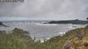 ./images/calvert/foggy-cove/20260510/foggy-cove20260510_100001M.jpg