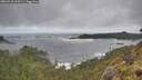 ./images/calvert/foggy-cove/20260510/foggy-cove20260510_100501M.jpg